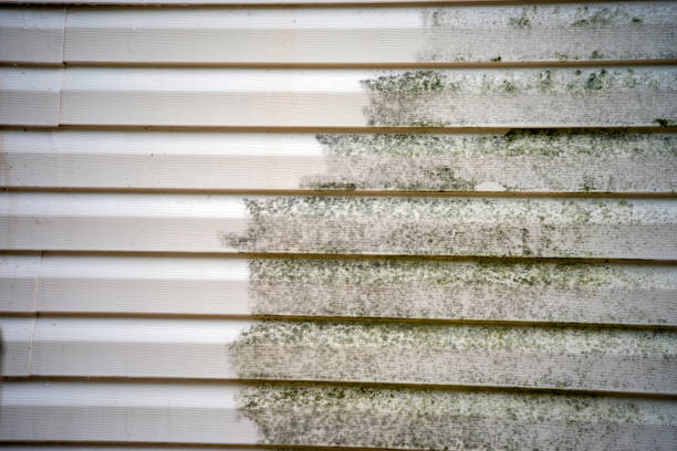 Best Moving and Downsizing Cleanouts  in Lincoln Park, MI