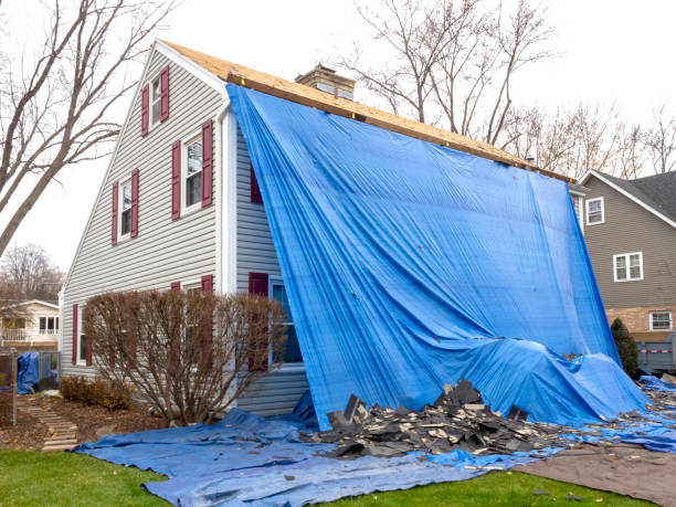 Best Shed Removal  in Lincoln Park, MI
